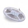 Carrete 5 m Tira de LED Duraled IP44 2835 240 LEDS/M